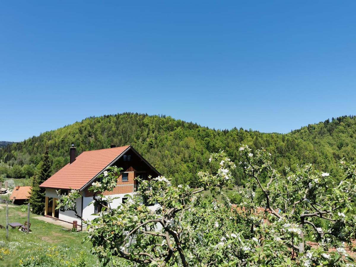 Planinski Mir Zaovine Екстериор снимка