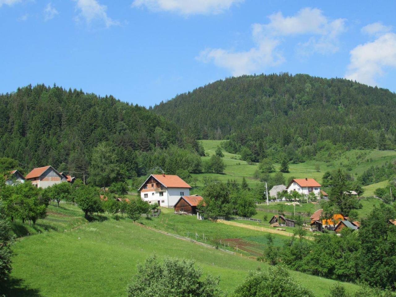 Planinski Mir Zaovine Екстериор снимка