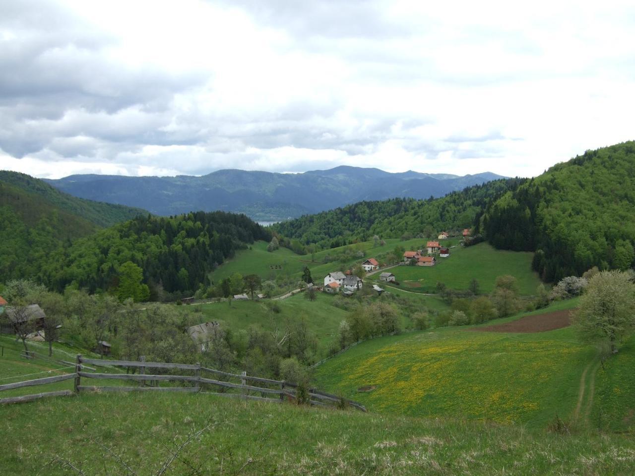 Planinski Mir Zaovine Екстериор снимка